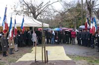 Plantation de l'arbre en hommage aux Justes parmi les Nations