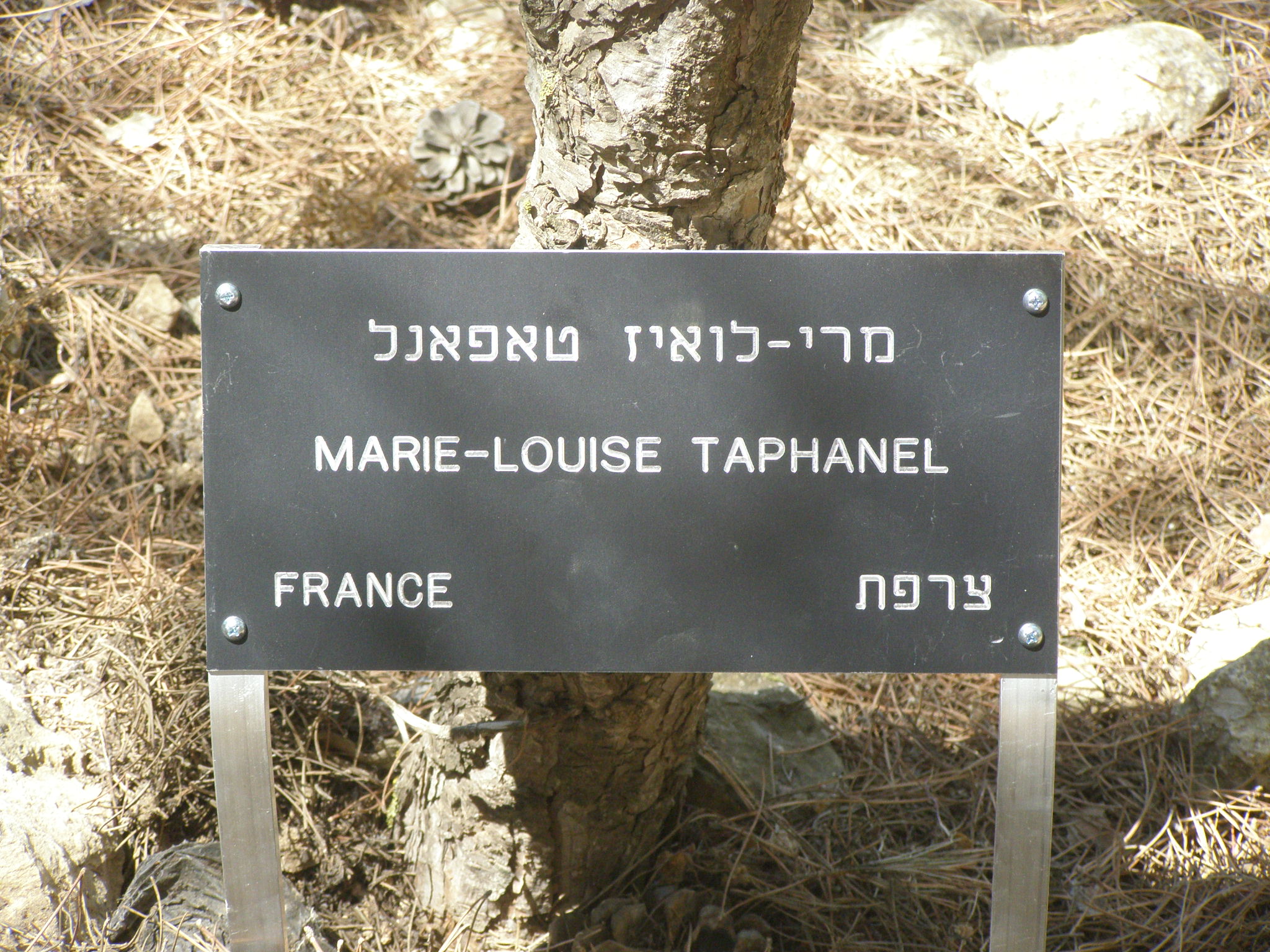 Marie-Louise-Taphanel