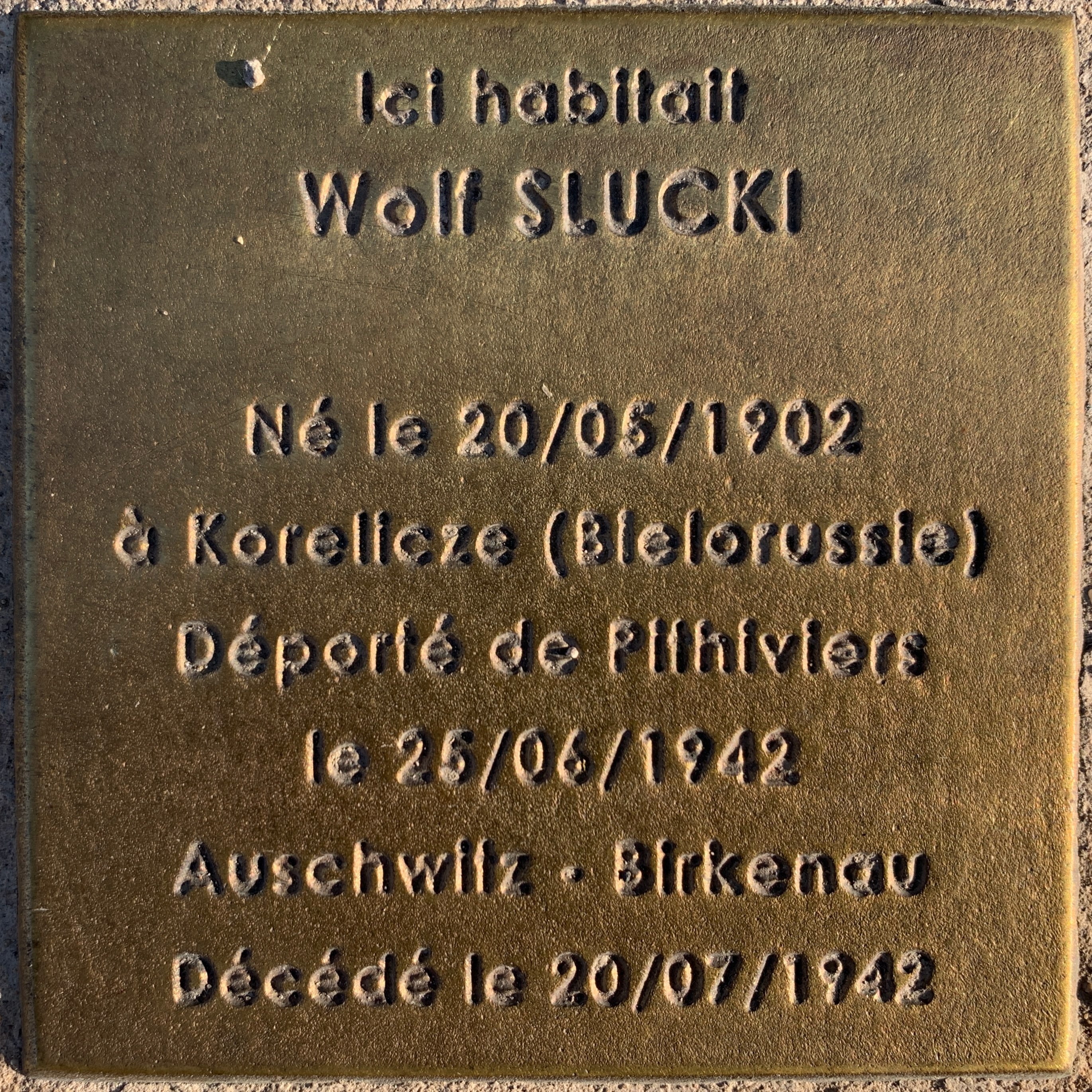 Wolf-Slucki