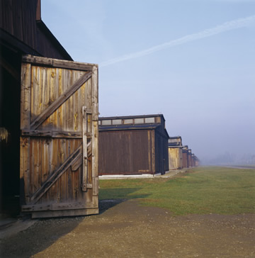 Birkenau